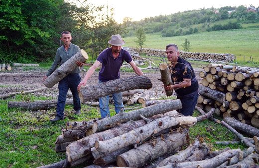 Kastamonuda inanılmaz olay! Ayı orman işçilerini 'rehin' aldı