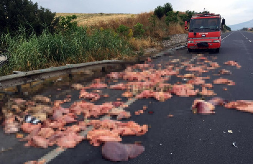 Manisa'da devrilen kamyonetteki sakatatlar yola saçıldı
