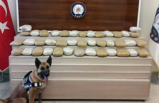 Van’da yapılan operasyonda kilolarca toz esrar ele geçirildi