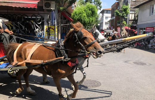 Adalar'da atların çilesi bitmiyor!