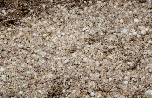 Yozgat’ta dolu yüzünden 70 bin dekar alan zarar gördü