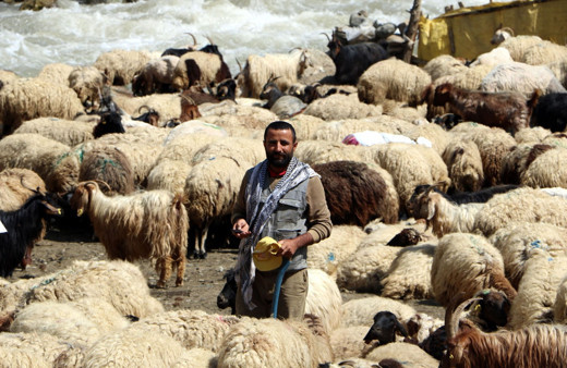 Üniversiteden mezun oldu ama atanamayınca bu işi yapmaya başladı