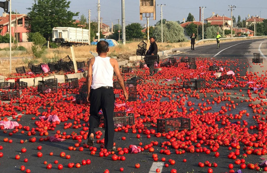 Kontrolden çıkan tırdan dökülen domatesler karayolunu tarlaya çevirdi
