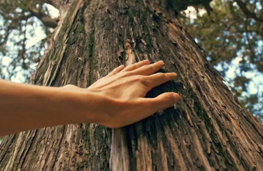 RAFINERI_TURKCELL_DUNYA_CEVRE_GUNU_VIDEO_KAGIDA_DOKUNMAK