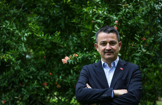 Çay budama desteği ne zaman ödenecek? Bakan Pakdemirli açıkladı