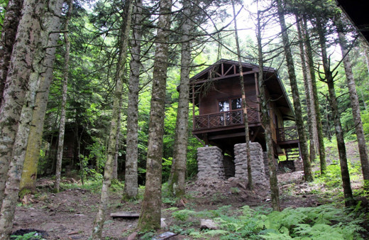 Gölcük Tabiat Parkı'ndaki 7 milyon liraya yapılan bungalovlar sökülecek