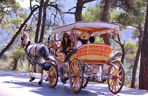 Tartışma yaratmıştı! Adalar'da fayton kararı