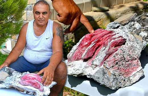 Muğla'da bir kişi denizde yüzerken fosil buldu