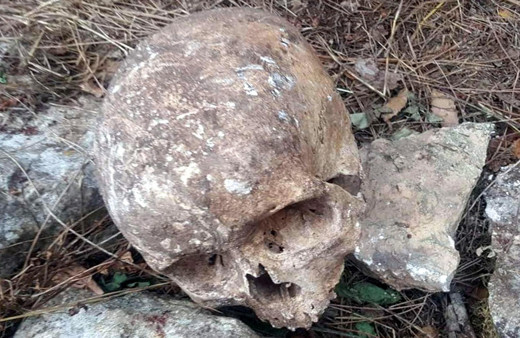 Mersin'de ormanlık alanda 2 kafatası ve kemik parçaları bulundu