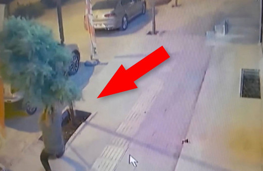 Durduk yere kaldırımdaki ağacı kıran alçak herkesi isyan ettirdi