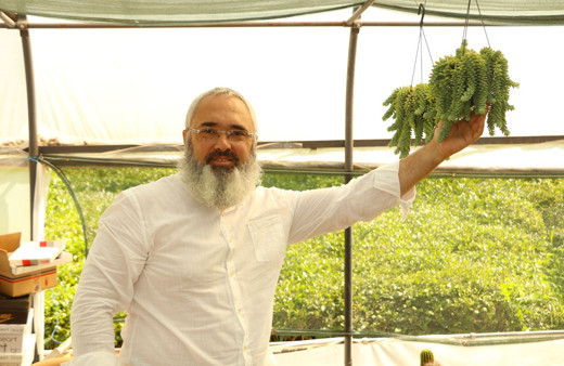 Karadeniz'de kaktüs olmaz dediler ama o inat edip başardı!