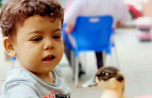 Salı günü Karaciğer nakli yapılmıştı! Poyraz'dan acı haber geldi