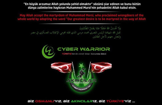 Türk hacker grubu Mısır'ın birçok devlet sitesine siber saldırı yaptı