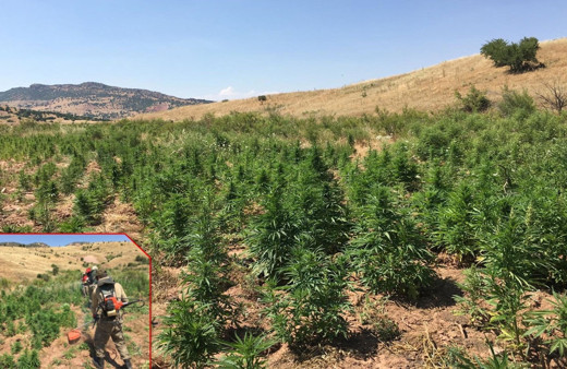 Diyarbakır'da son yıllarda ele geçirilen en büyük miktar!