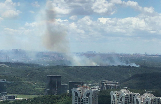 İstanbul Sarıyer'de ormanlık alanda yangın