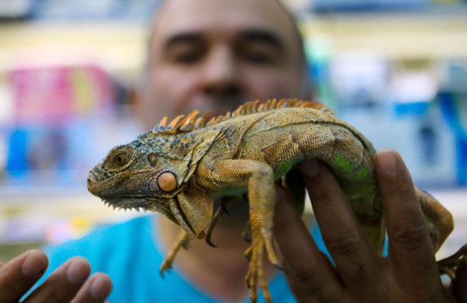 Gençlerin gözde tercihi! Fiyatı 2 bin TL taleplere yetişemiyor...