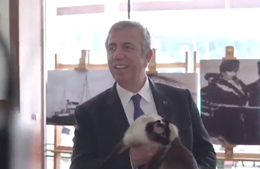 Mansur Yavaş’ın kedili videosundaki ‘fışkiye’ detayı sosyal medyayı salladı