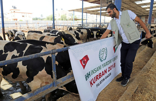 İHH Kurban fiyatını belirledi! İHH'ye Kurban nasıl bağışlanır?