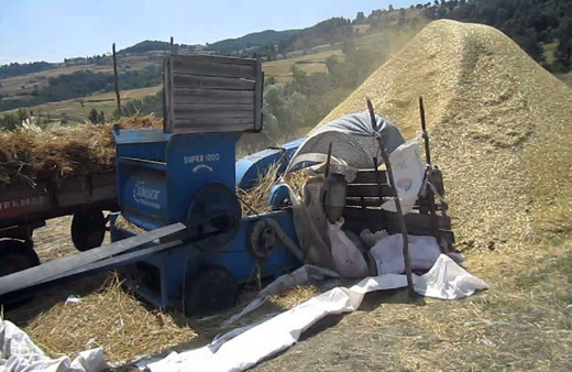 Buğday ayıklarken kolunu patoz makinesine kaptırdı!