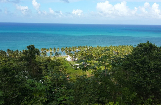 Survivor'ın çekildiği yerde ölü sayısı 12'ye yükseldi Dominik Cumhuriyeti'nde skandal