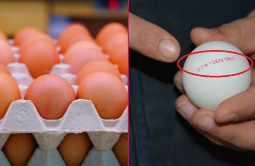 Bilmeniz gereken yumurta kodları