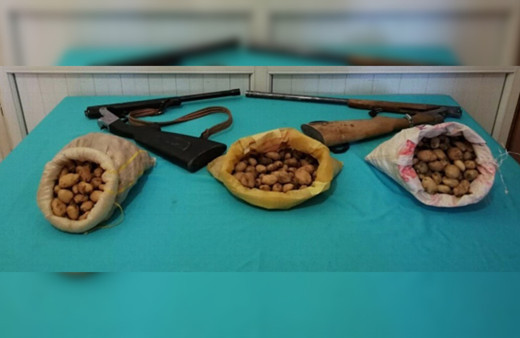 Şırnak'ta salep soğanı toplayan 3 kişiye 204 bin para cezası