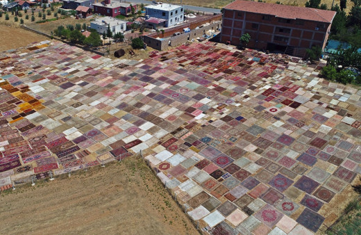 Antalya'da binlercesi tarlalara seriliyor! Turistler sipariş verip evlerine istiyor