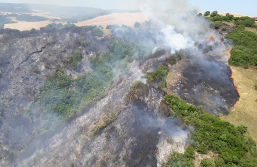 Gelibolu'da orman yangını! Kontrol altına alındı