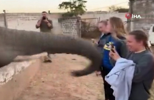 Filden fotoğraf çeken kadına tokat