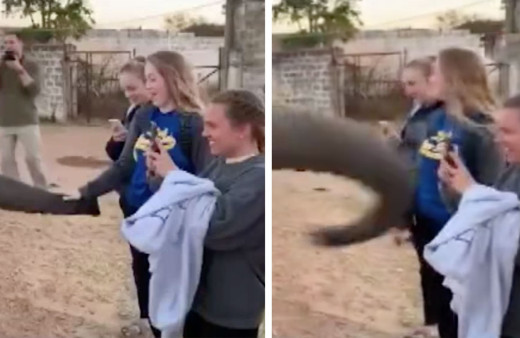 Zambiya'da filin fotoğrafını çekti tokatı yedi