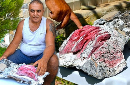 Muğla'da denizde yüzerken bulmuştu! Ne olduğu ortaya çıktı