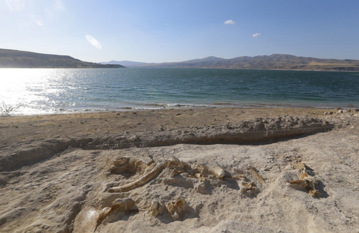 Kayseri'de kazı çalışmalarında 7,5 milyon yıllık fosiller bulundu!