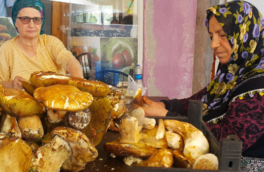 Ayda 40 bin lira kazanıyorlar! Yurtdışına satıyorlar