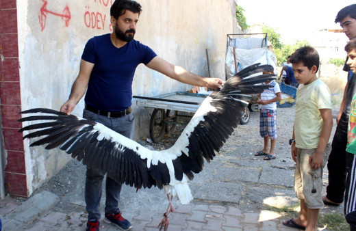 Mahalleli ayağı kopan leyleğin yardımına koştu