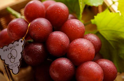 Bir avuç üzüm 63 bin liraya alıcı buldu! İşte özelliği...