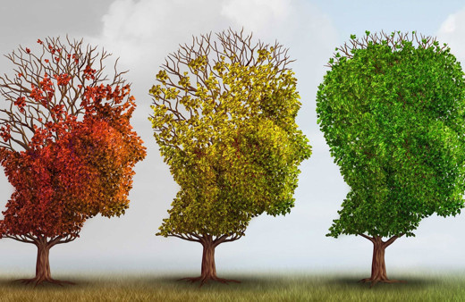 Dünyada her 3,2 saniyede bir kişi, Alzheimer'a yakalanıyor!