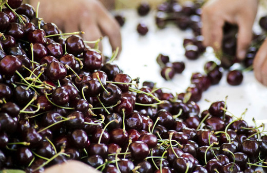Türkiye tarihinde ilk kez vize alındı! Çin'e rekor sayıda gönderildi