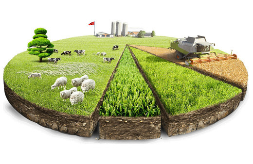 Resmi Gazete'de yayınlandı! Bu bölüm mezunlarına 100 bin TL hibe