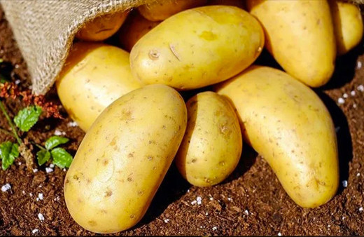 Ticaret Bakanlığı'ndan patates ithalatına gözetim kararı