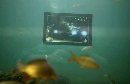 Bursa'da bugüne kadarki en farklı 15 Temmuz sergisi Su altında ilginç görüntüler