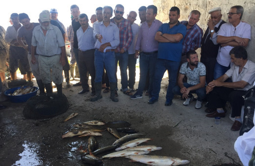 Bursa'da 100 yıldır bu iş yapılıyor! Tutulan balıklar açık artırmayla satılıyor