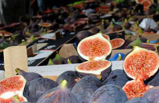 Siyah incir ihracatı 29 Temmuz'da başlıyor