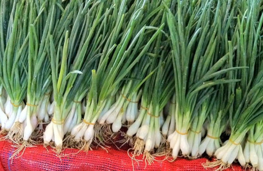 Aradaki fark çiftçiyi isyan ettirdi! Tarlada 5, halde 100 lira