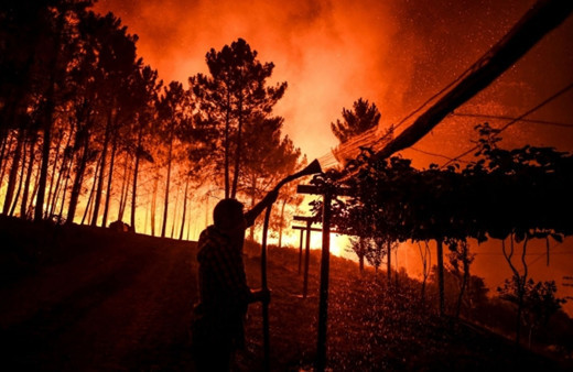 Aydın'da korkulan oldu! Alevler yayılıyor