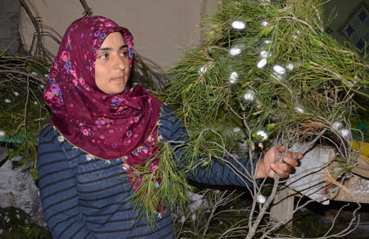 Televizyonda izlediği belgeselden etkilendi! Kendi işinin patronu oldu