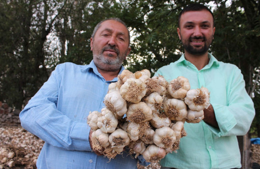 İngiltere'de öğrenim gördü mühendis oldu! Türkiye'de sarımsak ihraç ediyor