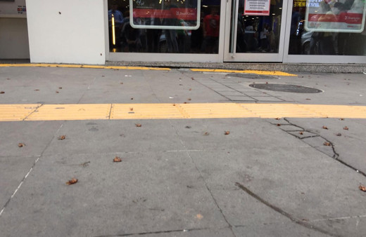 Trabzon’un en işlek caddesinde tehlike saçan böcek istilası Vatandaş neye uğradığını şaşırdı