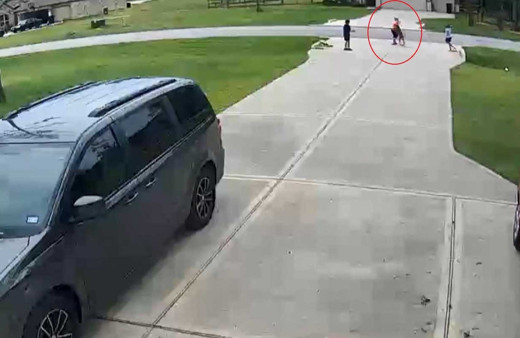 Pitbull dehşeti saniye saniye kamerada