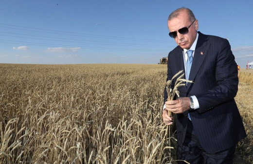 Cumhurbaşkanı Erdoğan, Hasat Bayramı'nda biçerdöver kullandı