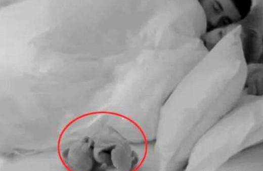 Aşk Adası'nda kızdıran oyuncak ayı detayı